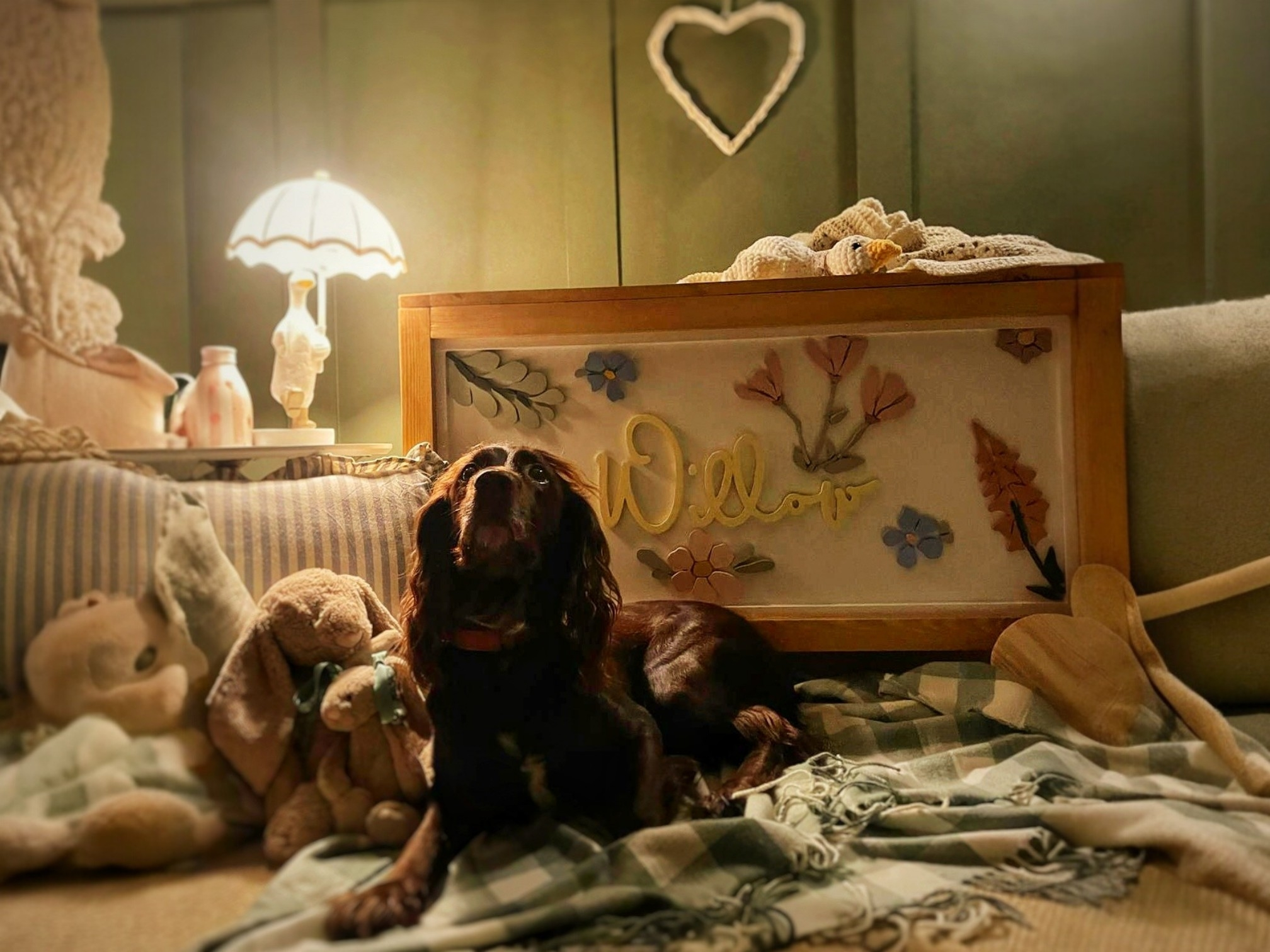 Toy Box